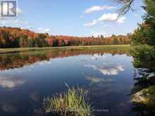 862 LYNX LAKE Road | Huntsville Ontario | Slide Image Twelve