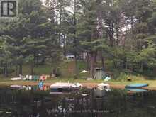 862 LYNX LAKE Road | Huntsville Ontario | Slide Image Four