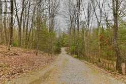 1422 AVERY LANE | Haliburton Ontario | Slide Image Forty-three