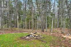 1657 HOUSEYS RAPIDS ROAD | Gravenhurst Ontario | Slide Image Twenty-eight