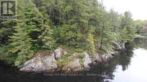 0 CLEAR LAKE ROAD | Muskoka Lakes Ontario | Slide Image Ten