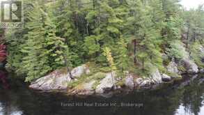 0 CLEAR LAKE ROAD | Muskoka Lakes Ontario | Slide Image Eleven