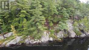 0 CLEAR LAKE ROAD | Muskoka Lakes Ontario | Slide Image Twelve