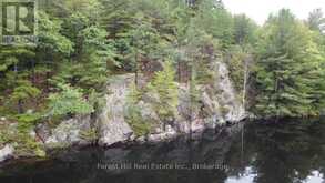 0 CLEAR LAKE ROAD | Muskoka Lakes Ontario | Slide Image Thirteen