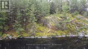 0 CLEAR LAKE ROAD | Muskoka Lakes Ontario | Slide Image Fourteen