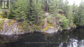 0 CLEAR LAKE ROAD | Muskoka Lakes Ontario | Slide Image Fifteen