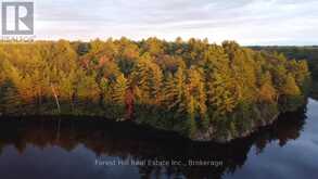 0 CLEAR LAKE ROAD | Muskoka Lakes Ontario | Slide Image Seventeen