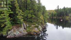 0 CLEAR LAKE ROAD | Muskoka Lakes Ontario | Slide Image Nineteen