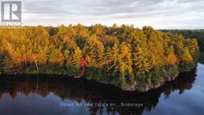 0 CLEAR LAKE ROAD | Muskoka Lakes Ontario | Slide Image One