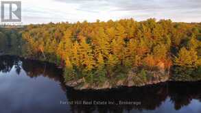 0 CLEAR LAKE ROAD | Muskoka Lakes Ontario | Slide Image Twenty-two