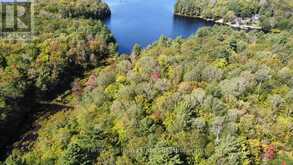 0 CLEAR LAKE ROAD | Muskoka Lakes Ontario | Slide Image Three