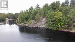 0 CLEAR LAKE ROAD | Muskoka Lakes Ontario | Slide Image Five
