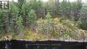 0 CLEAR LAKE ROAD | Muskoka Lakes Ontario | Slide Image Six
