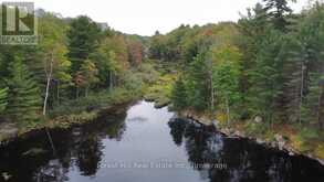 0 CLEAR LAKE ROAD | Muskoka Lakes Ontario | Slide Image Seven