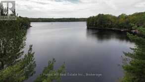 0 CLEAR LAKE ROAD | Muskoka Lakes Ontario | Slide Image Nine
