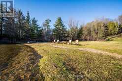3 - 1391 ROSSEAU LAKE ROAD 1 | Utterson Ontario | Slide Image Forty-five