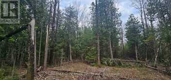 43 HARDWICK COVE ROAD | Lion's Head Ontario | Slide Image Eleven