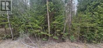 43 HARDWICK COVE ROAD | Lion's Head Ontario | Slide Image Eighteen