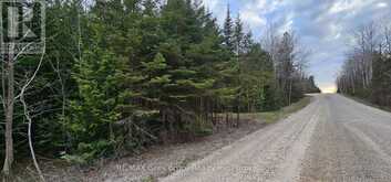43 HARDWICK COVE ROAD | Lion's Head Ontario | Slide Image Nineteen