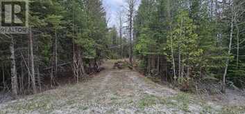 43 HARDWICK COVE ROAD | Lion's Head Ontario | Slide Image One