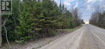 43 HARDWICK COVE ROAD | Lion's Head Ontario | Slide Image Twenty