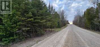 43 HARDWICK COVE ROAD | Lion's Head Ontario | Slide Image Twenty-one