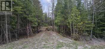 43 HARDWICK COVE ROAD | Lion's Head Ontario | Slide Image Twenty-two