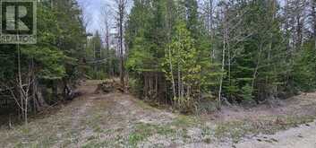 43 HARDWICK COVE ROAD | Lion's Head Ontario | Slide Image Two