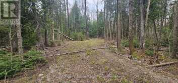 43 HARDWICK COVE ROAD | Lion's Head Ontario | Slide Image Four