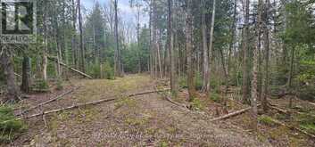 43 HARDWICK COVE ROAD | Lion's Head Ontario | Slide Image Five