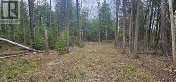 43 HARDWICK COVE ROAD | Lion's Head Ontario | Slide Image Nine