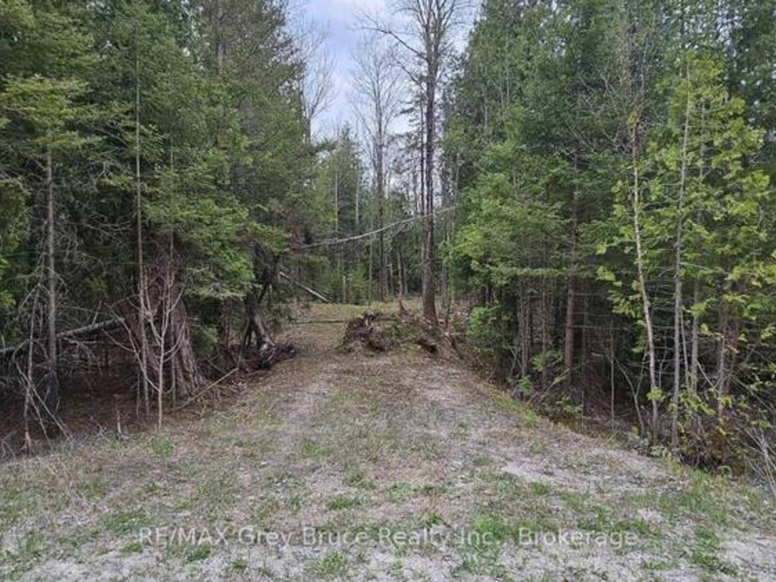 43 HARDWICK COVE ROAD, Lion's Head, Ontario N0H 1W0