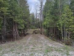 43 HARDWICK COVE ROAD Lion's Head Ontario, N0H 1W0