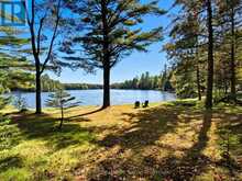 293 OTTER LAKE ROAD | Huntsville Ontario | Slide Image Forty-nine