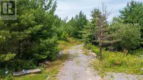 732 124 HIGHWAY | McKellar Ontario | Slide Image Nine