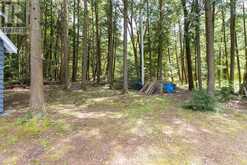15052 GEORGIAN BAY SHORE | Honey Harbour Ontario | Slide Image Thirty