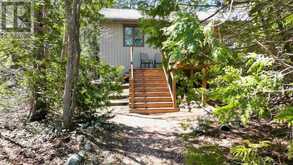 54 CARTER ROAD | Lion's Head Ontario | Slide Image Eight