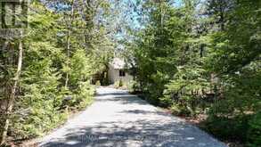 54 CARTER ROAD | Lion's Head Ontario | Slide Image Thirty-nine