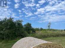 PART 1 CAPE CHIN NORTH ROAD | Lion's Head Ontario | Slide Image Five