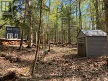 0 KING LAKE | Machar Ontario | Slide Image Thirty-one