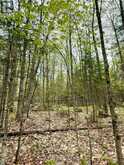 0 KING LAKE | Machar Ontario | Slide Image Thirty-eight