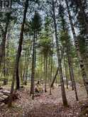 0 KING LAKE | Machar Ontario | Slide Image Thirty-nine