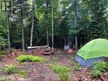 0 KING LAKE | Machar Ontario | Slide Image Forty-six