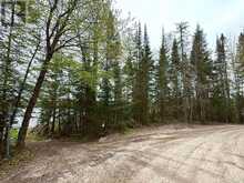 0 KING LAKE | Machar Ontario | Slide Image Forty-seven