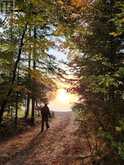 0 KING LAKE | Machar Ontario | Slide Image Fifty