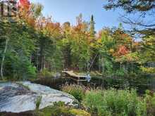 0 KING LAKE | Machar Ontario | Slide Image Eight