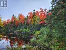 0 KING LAKE | Machar Ontario | Slide Image Nine