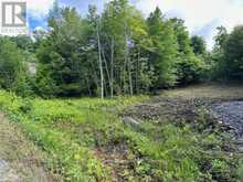 4 MCNAUGHTS ROAD | McDougall Ontario | Slide Image Two