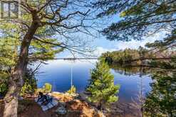 29 BEACHGROVE ISLAND 33LM | Gravenhurst Ontario | Slide Image Thirty-three