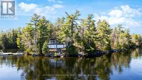 29 BEACHGROVE ISLAND 33LM | Gravenhurst Ontario | Slide Image Thirty-five